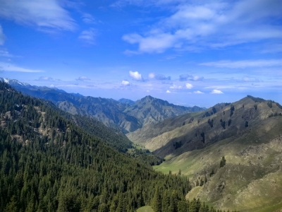 尊龙凯时逐梦 旅路同程